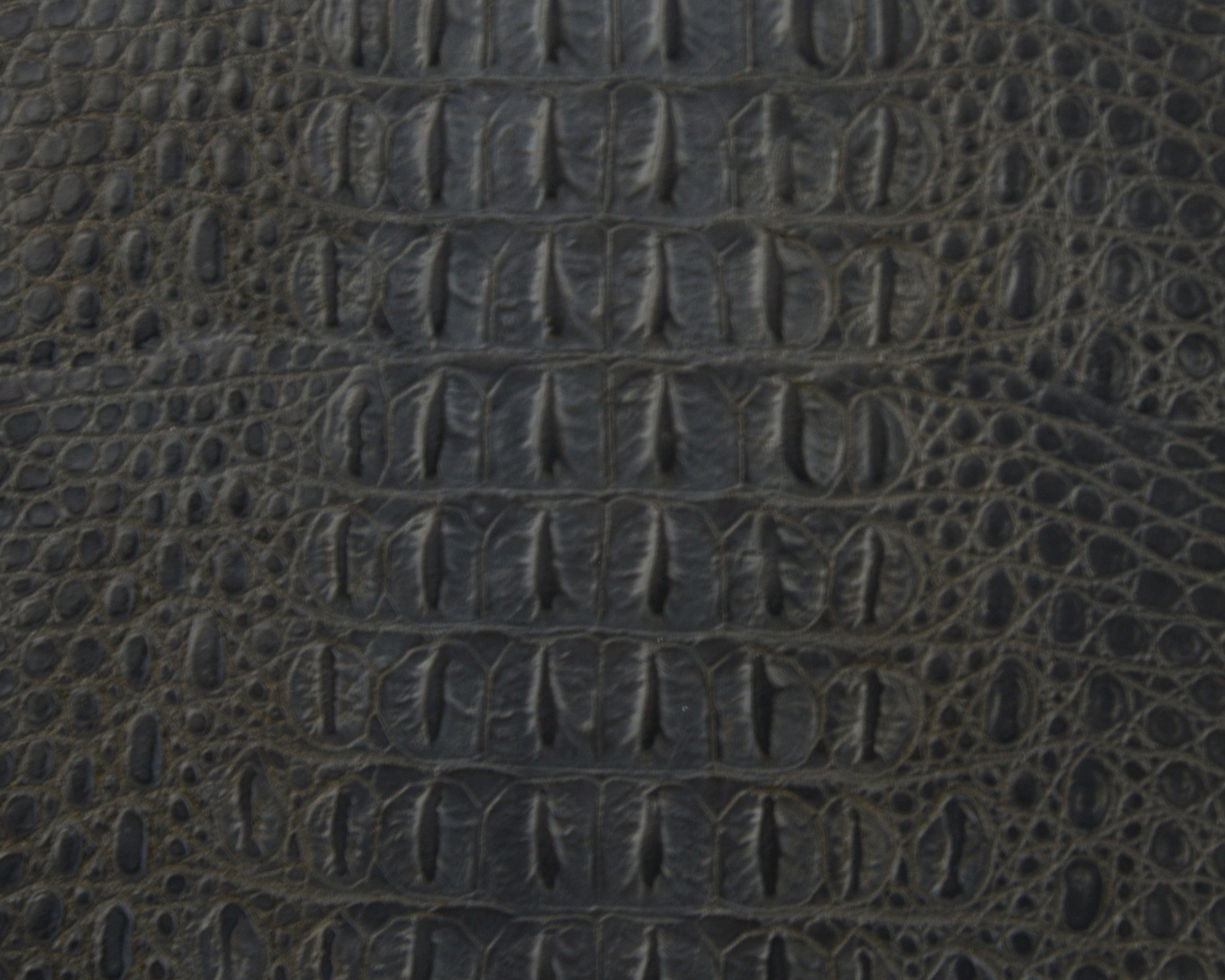 EUR-08-0095