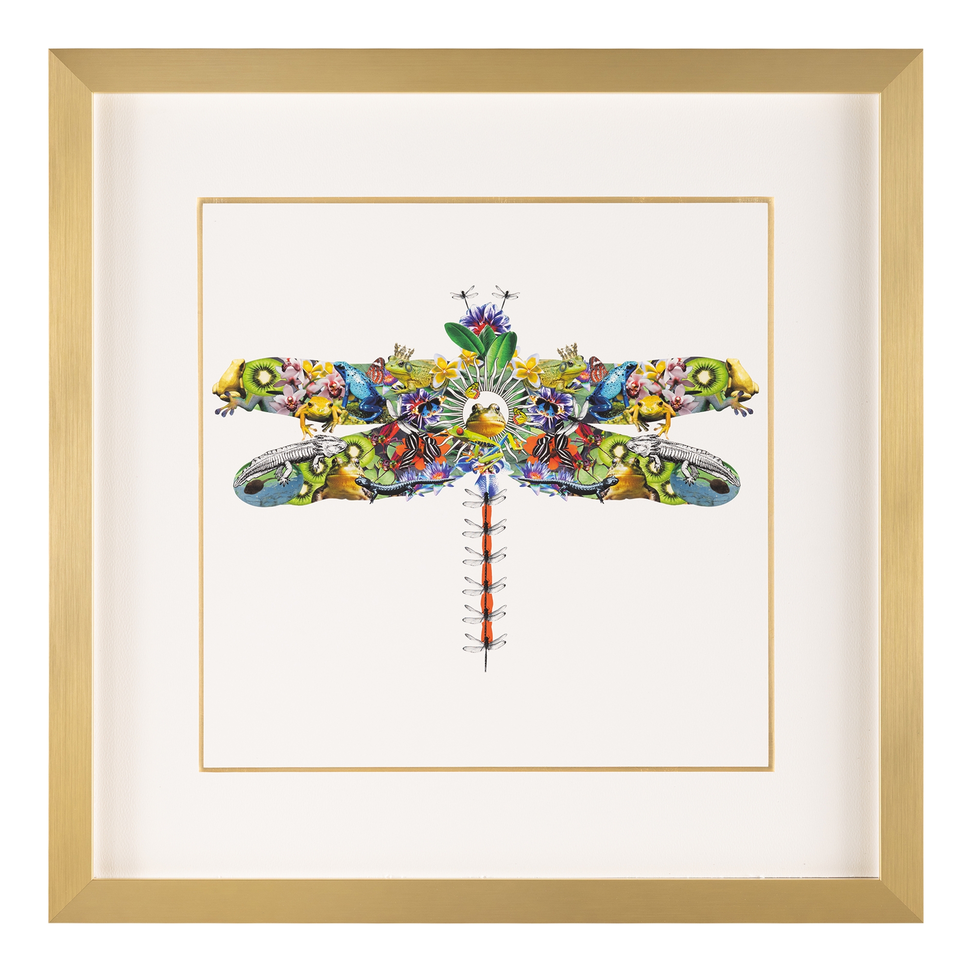Amy Shaw's Fantasy World Collection: Dragonfly