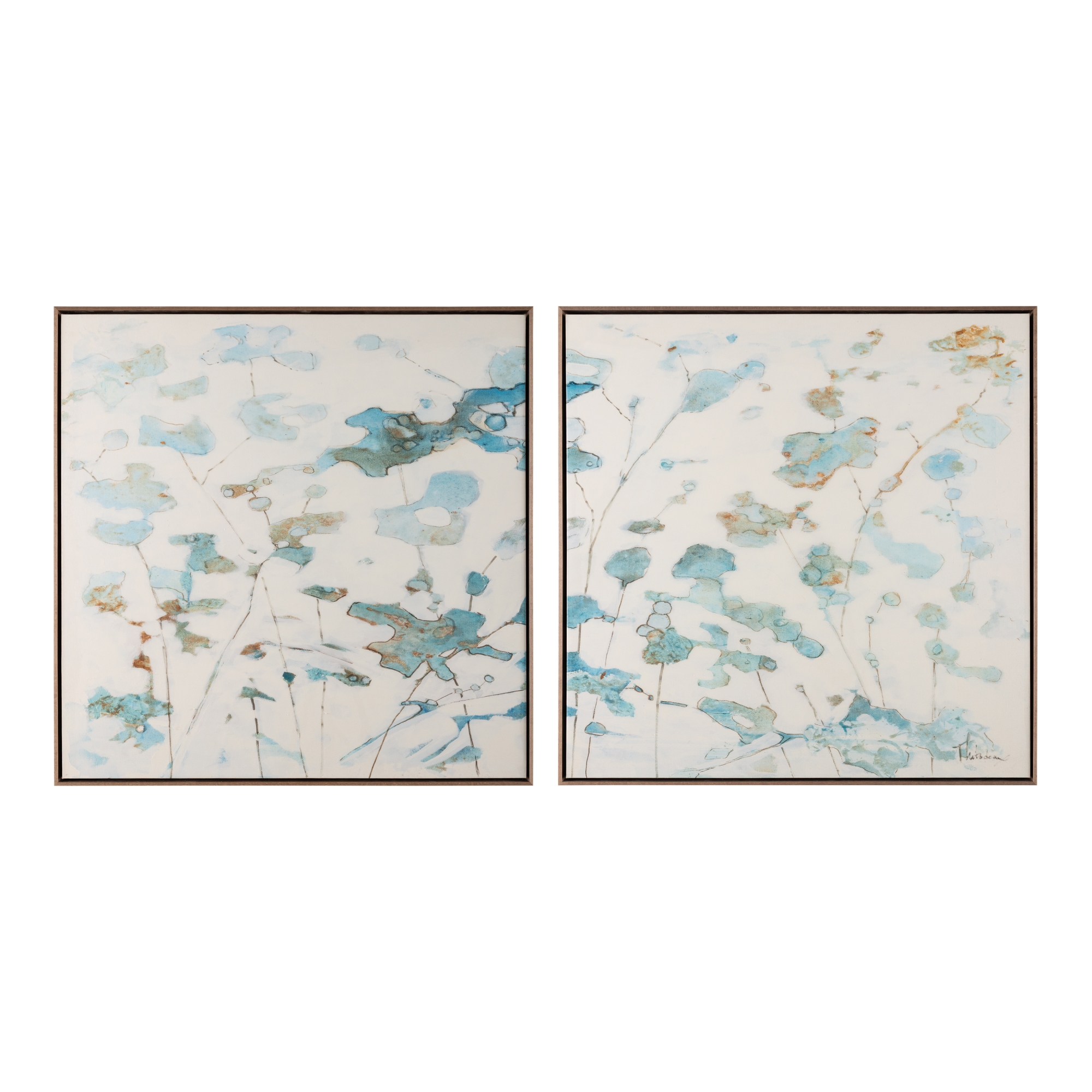 Camille Thibodeaux's Morning Glory