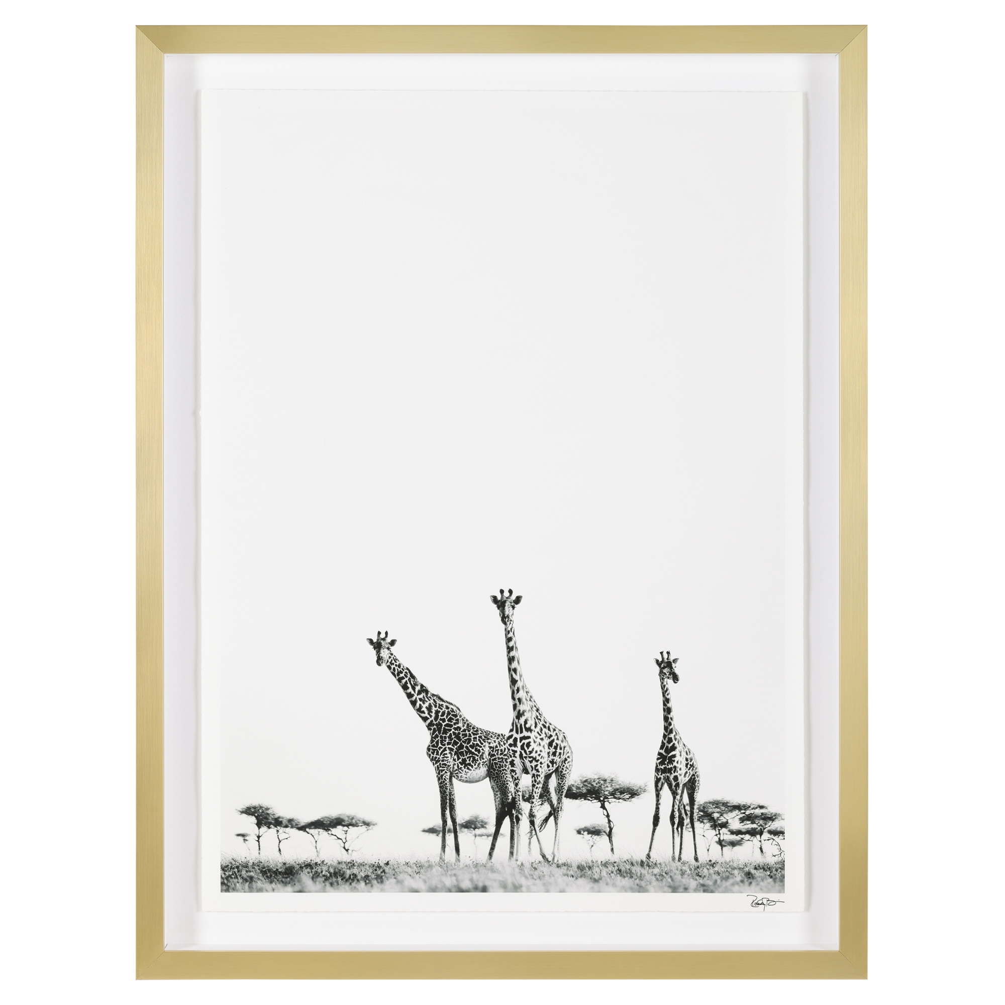 Rodney Bursiel's Kaleidoscope