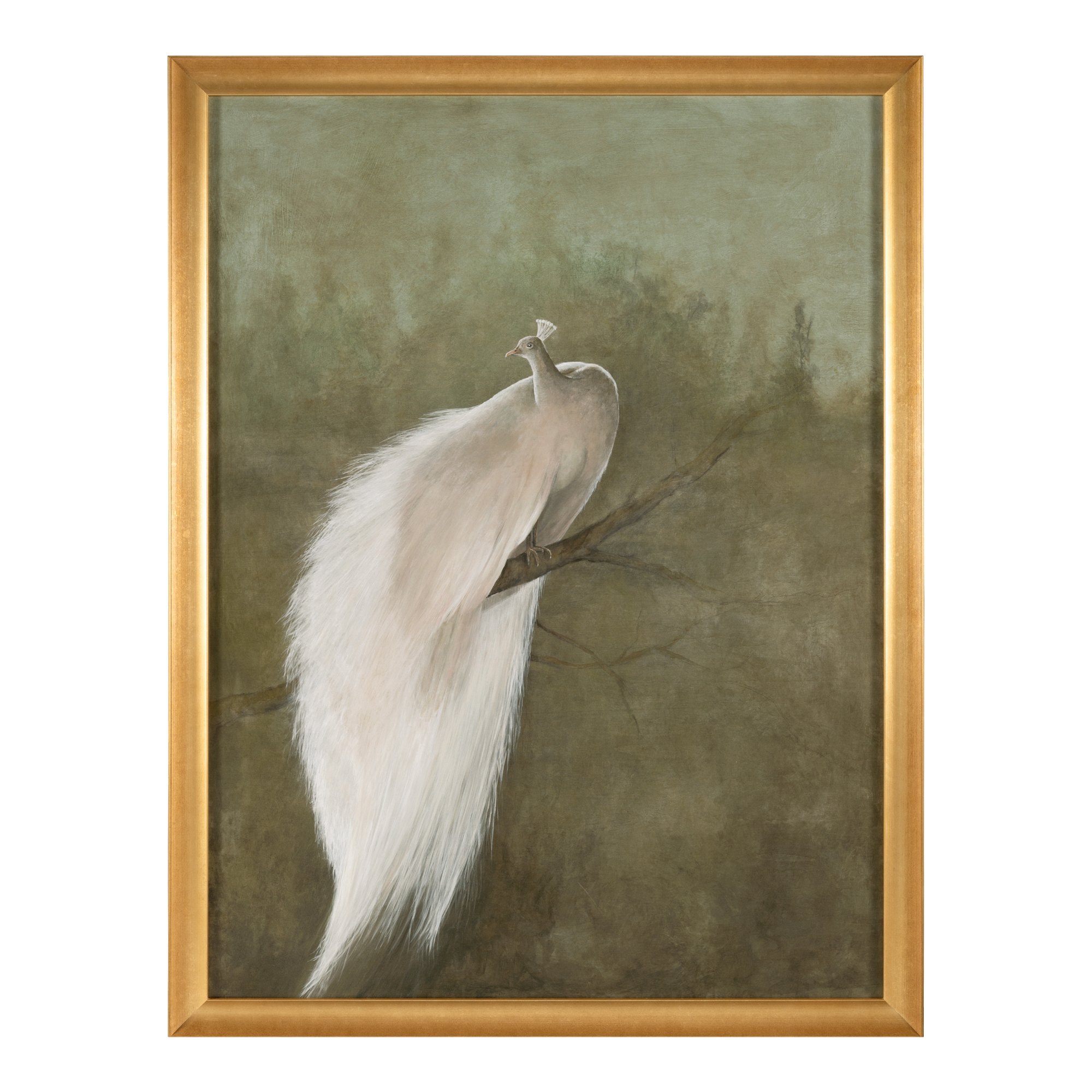 Debra Ferrari's The White Peacock