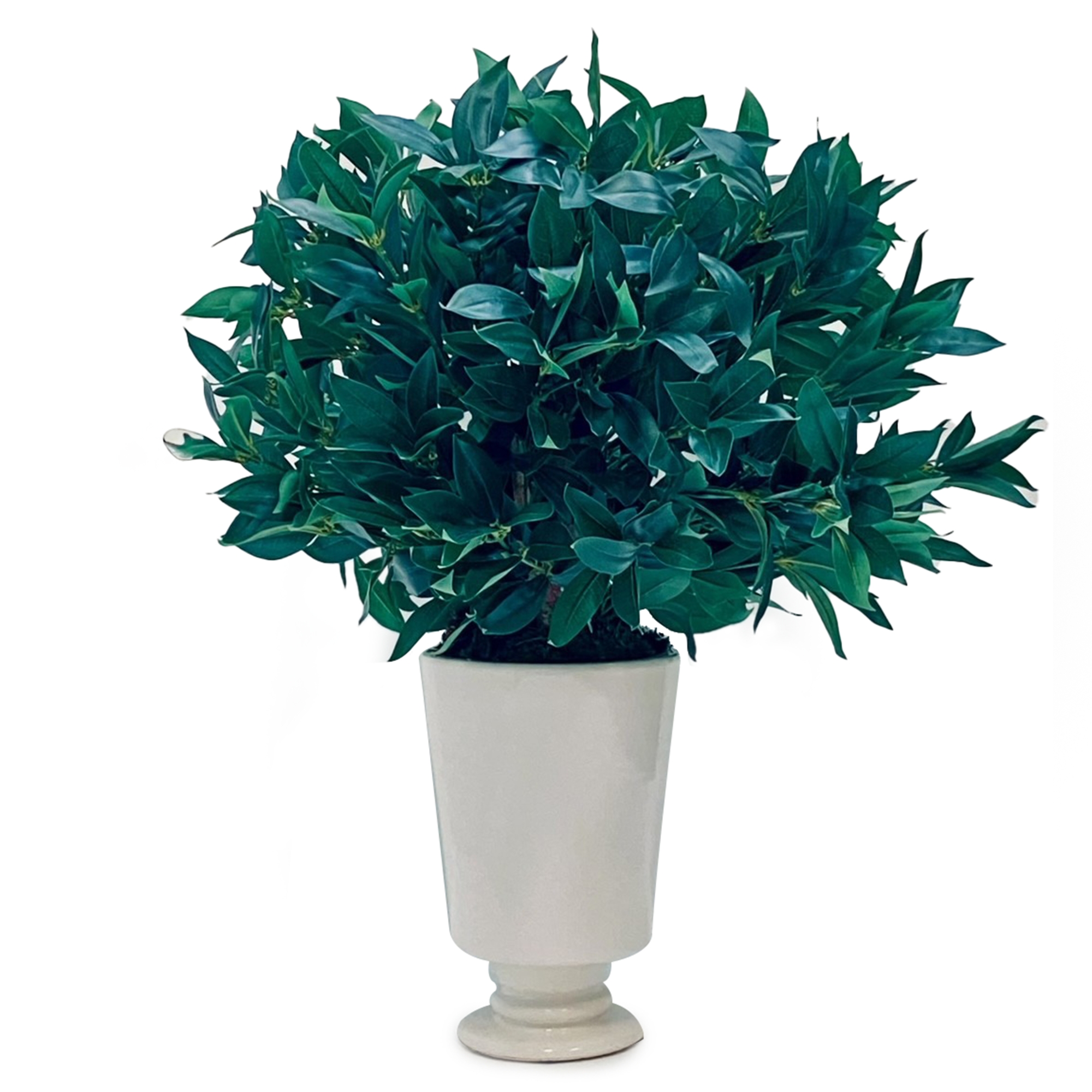 Bay Leaf Topiary