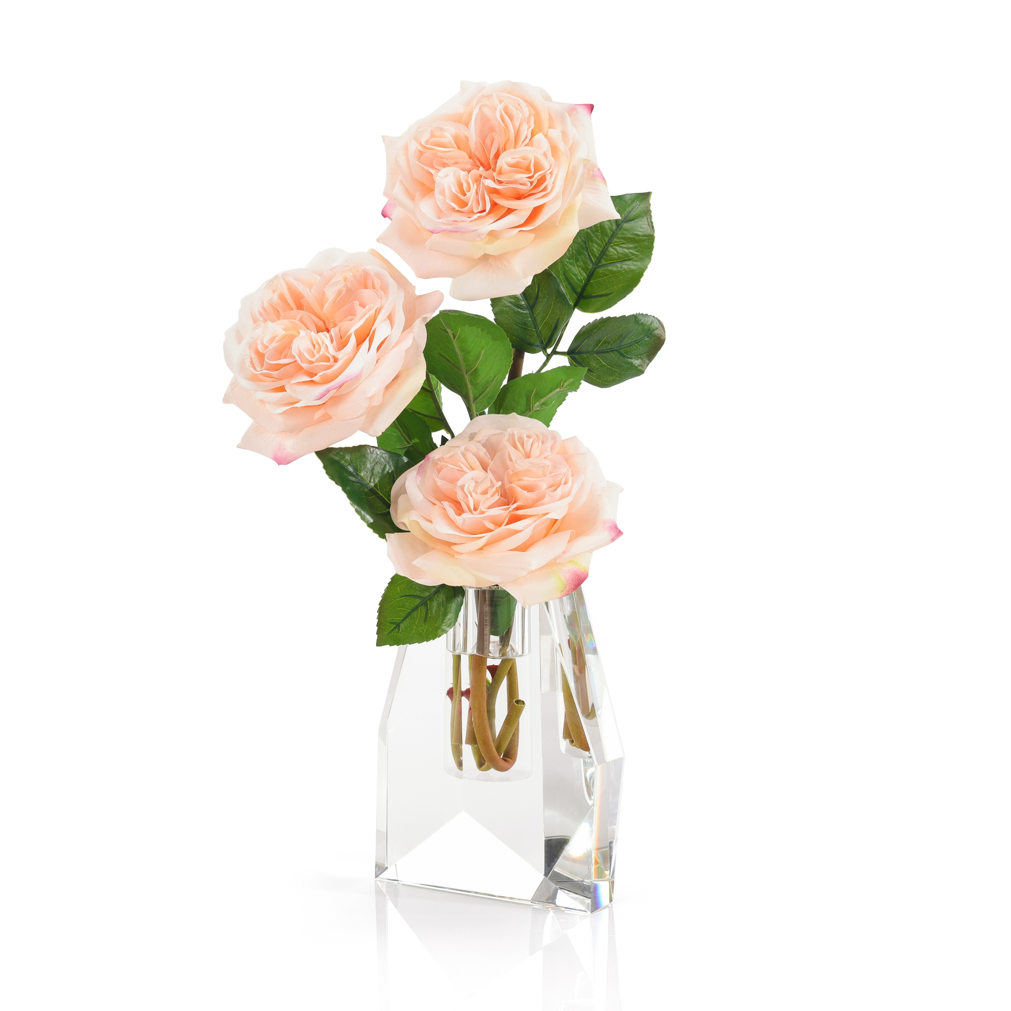 French Garden Rose