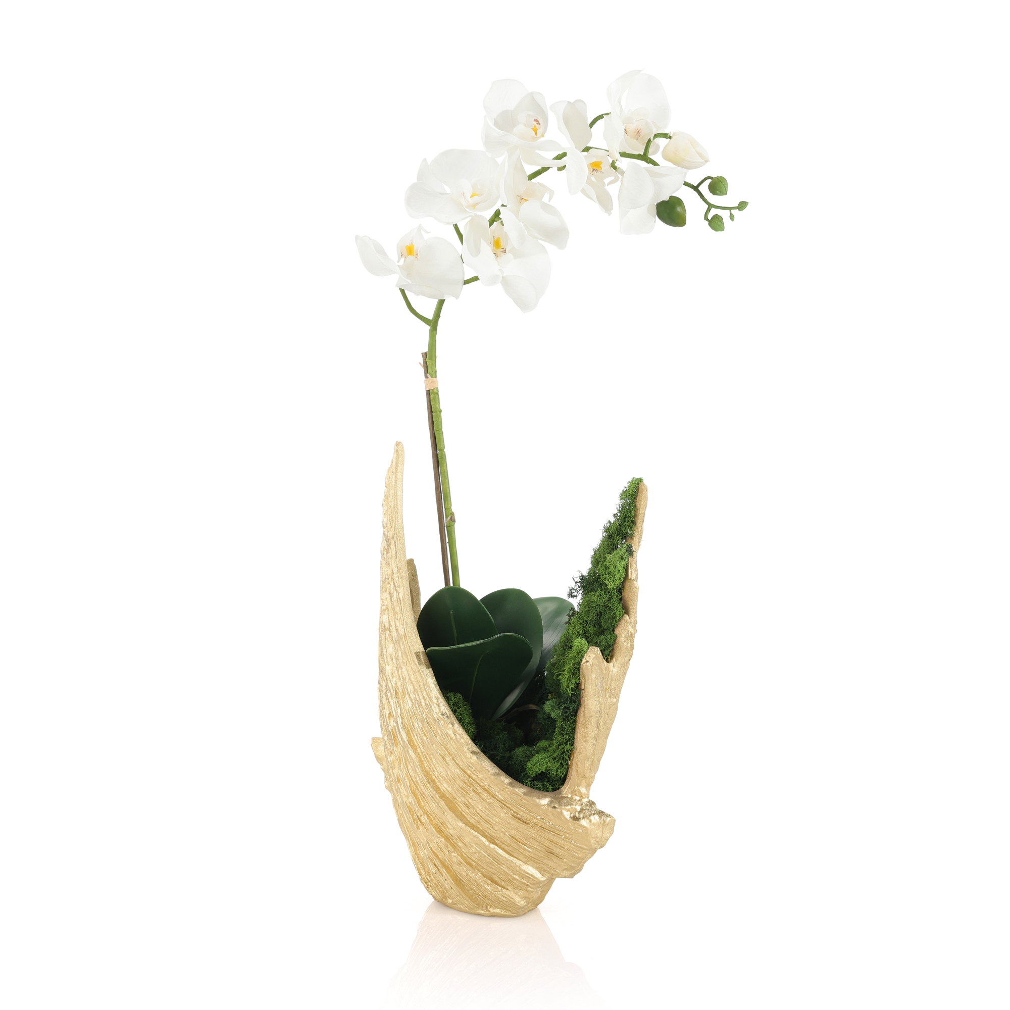 Organic Mossy Orchid