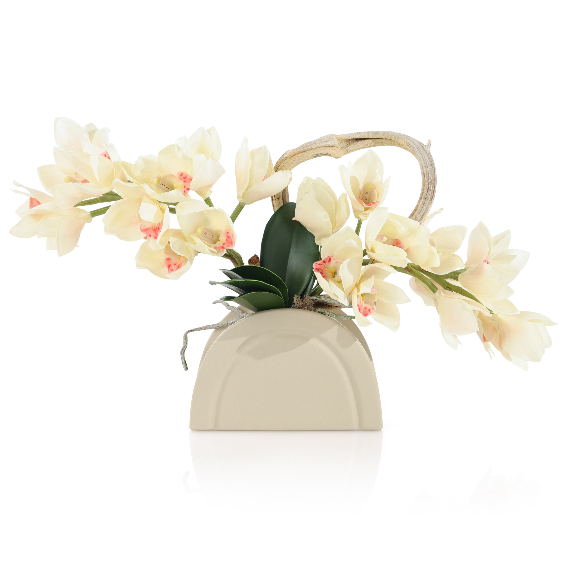 Tan Cymbidiums