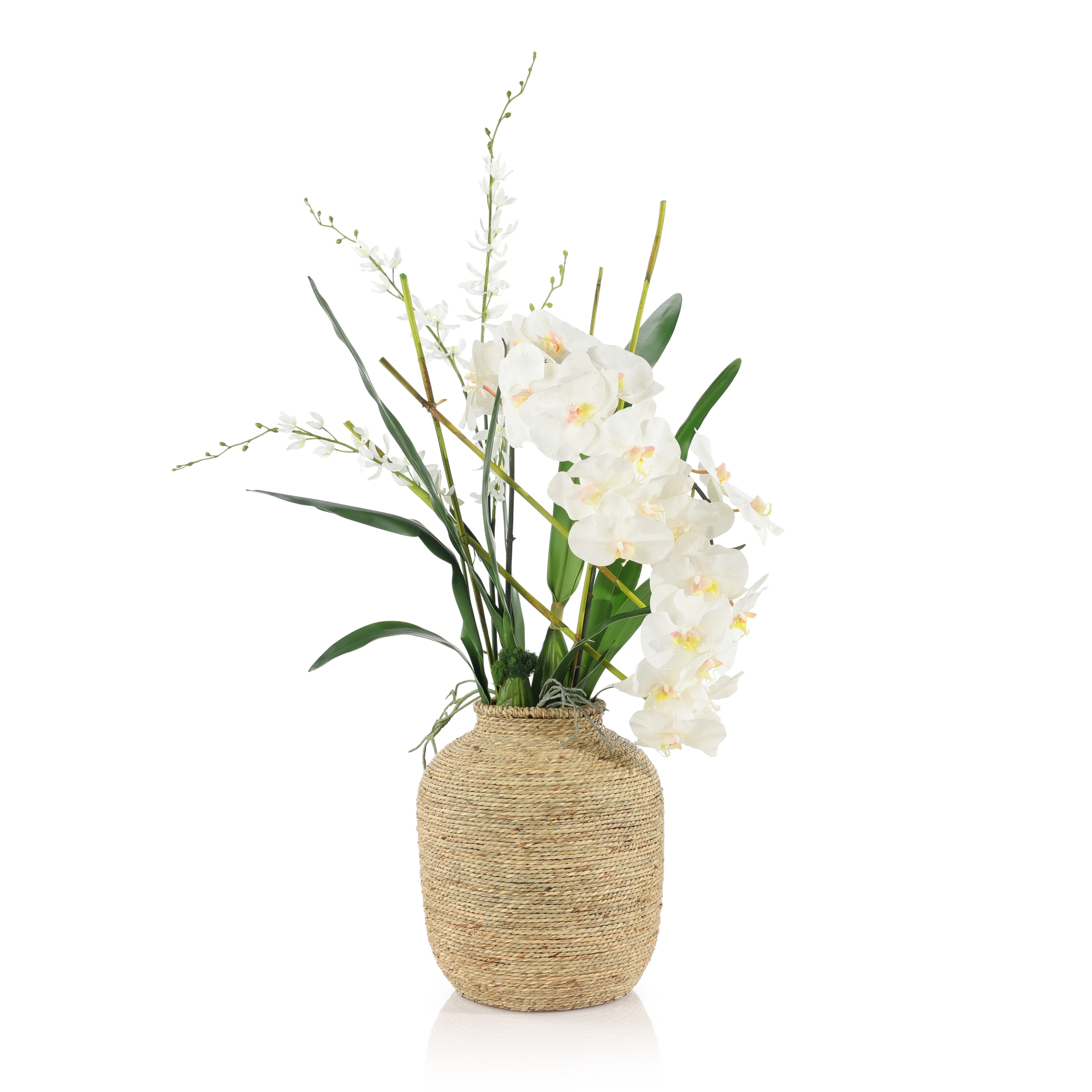 Tahitian Orchids