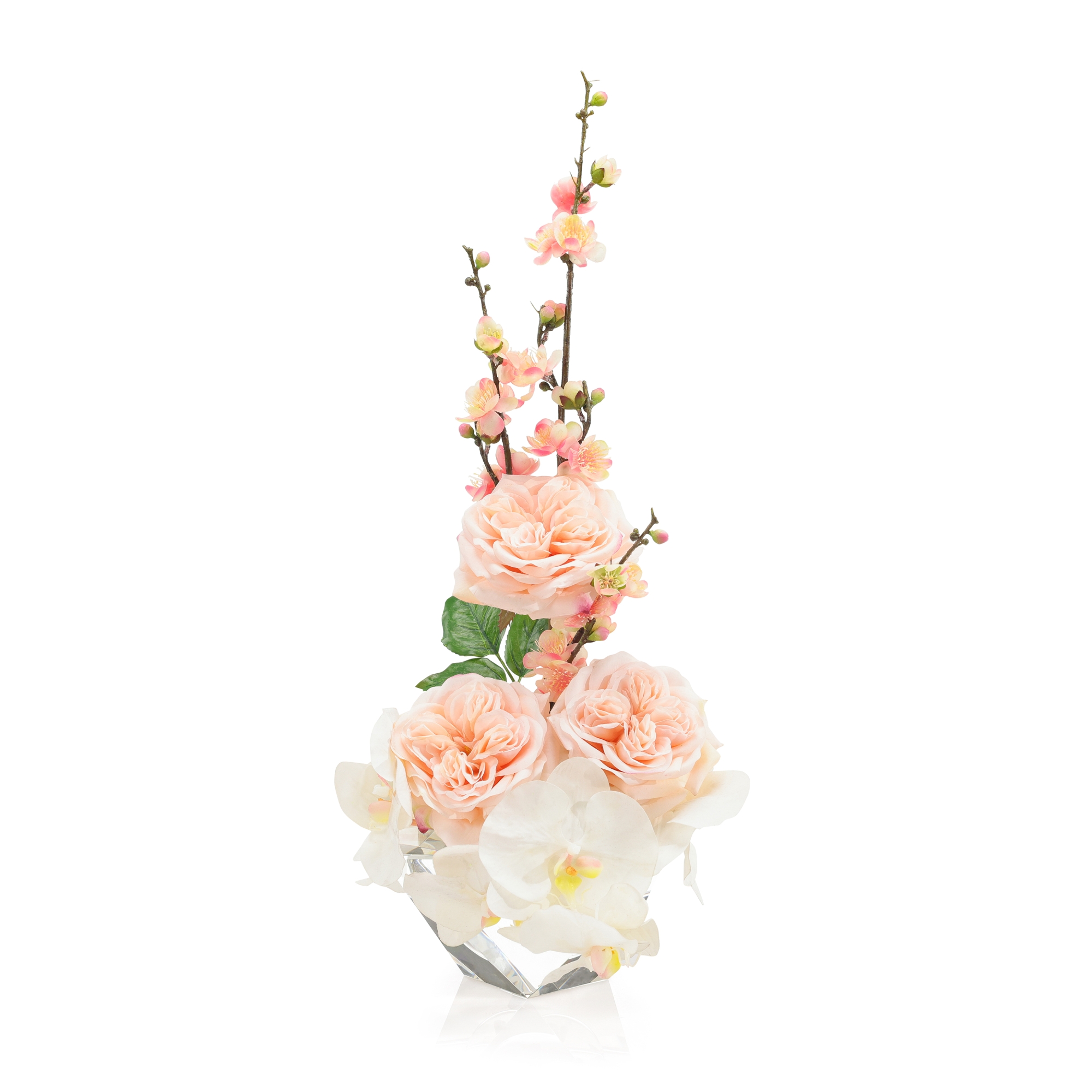 Pink Rose Blossoms