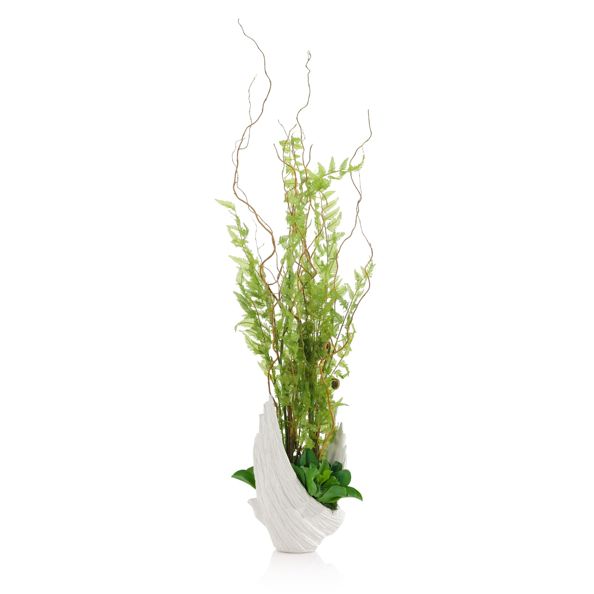 Winged Fern Garden