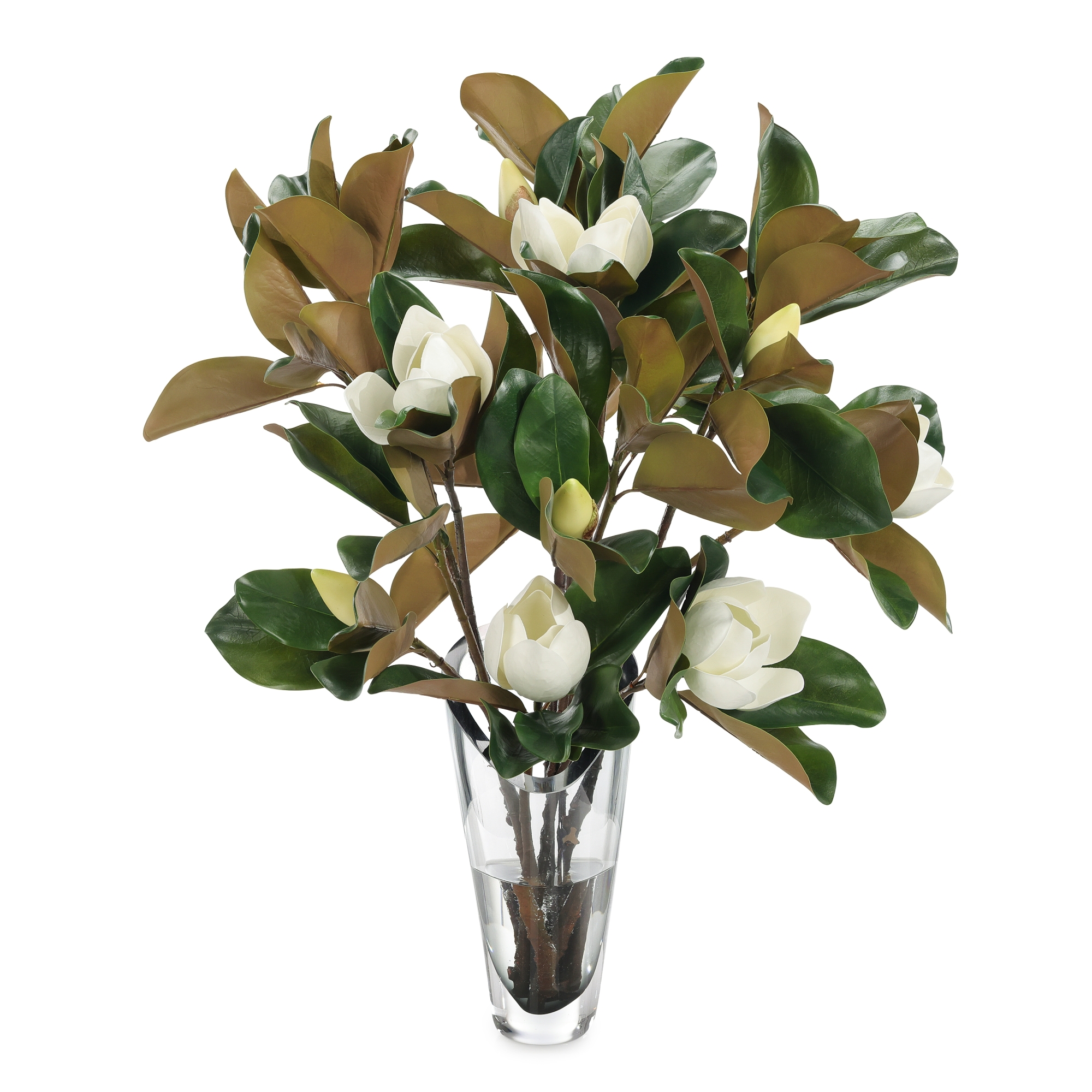 Summer Magnolia Blooms